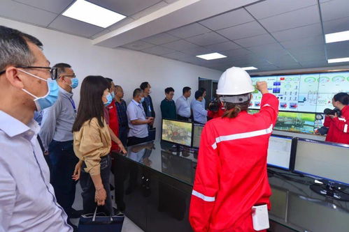 集團公司2021年度技術(shù)專家咨詢會診活動圓滿結(jié)束